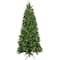 6.5ft. Pre-Lit Real Touch™️ Washington Frasier Fir Christmas Tree, Dual Color LED Lights